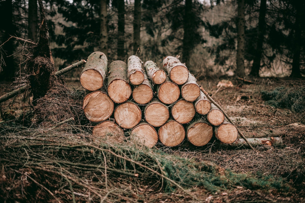 drewno z tartaku handel